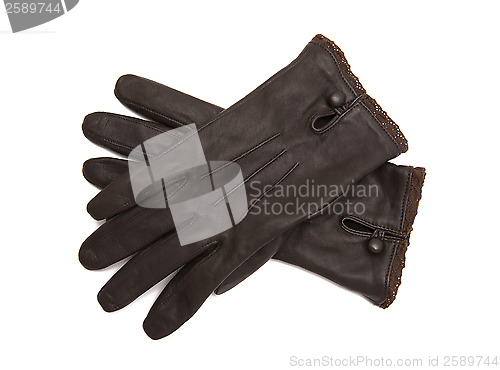 Image of Gloves