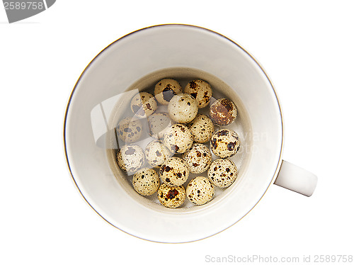 Image of Quail eggs