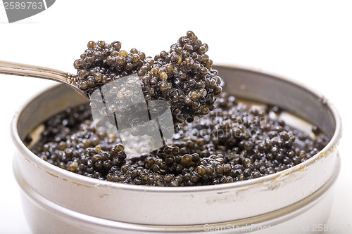 Image of Black caviar in spoon from metal can, high angle