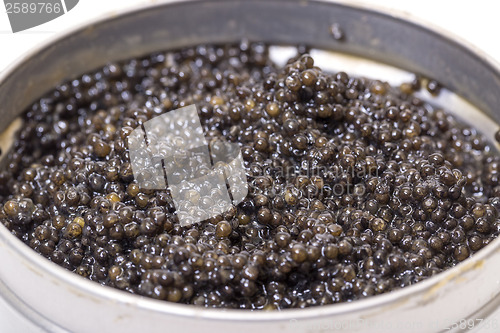 Image of Black caviar in metal can, high angle