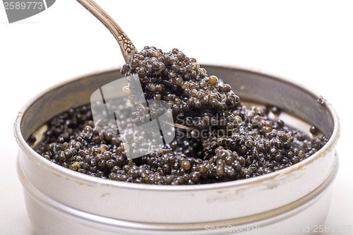 Image of Black caviar in spoon from metal can, high angle