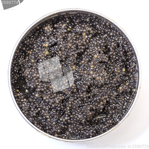 Image of Black caviar in metal can, top view