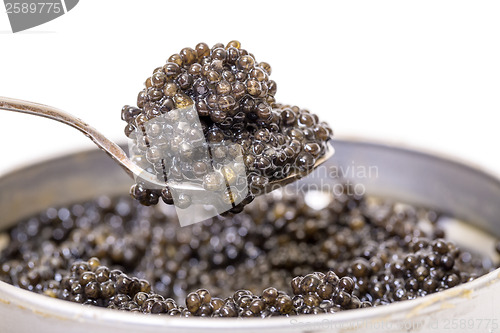 Image of Black caviar in spoon from metal can, high angle