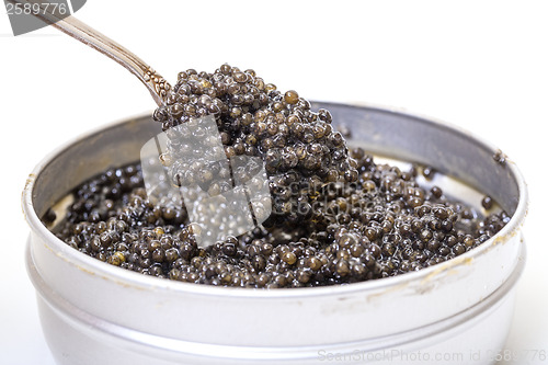 Image of Black caviar in spoon from metal can, high angle