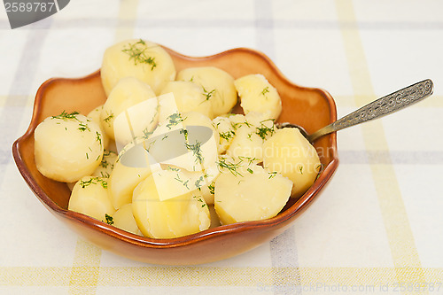 Image of Potatoes