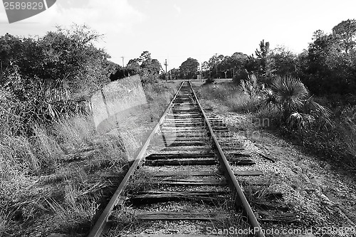 Image of Black and white Railroad tracks in florida