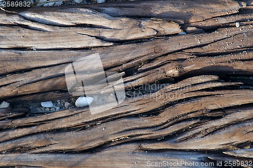 Image of dried wood grain
