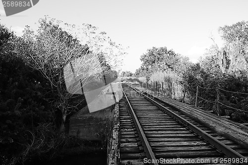 Image of old Railroad bridge in wilderness