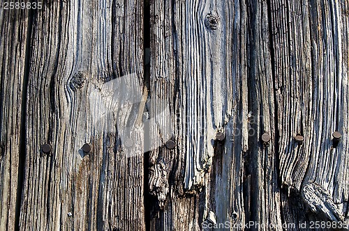 Image of Old wood rusty nails up close