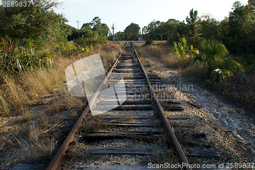 Image of Railroad tracks in florida