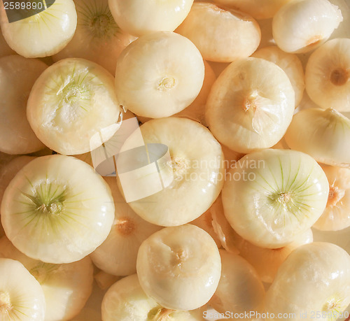 Image of Onions