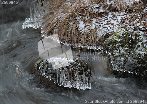 Image of Winter ice