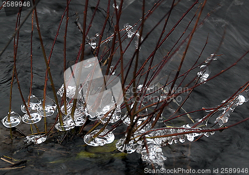 Image of Winter ice