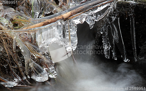 Image of Winter ice