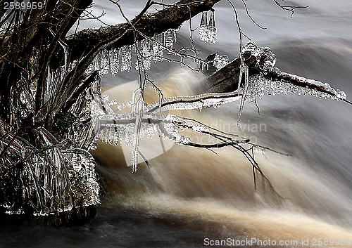 Image of Winter ice