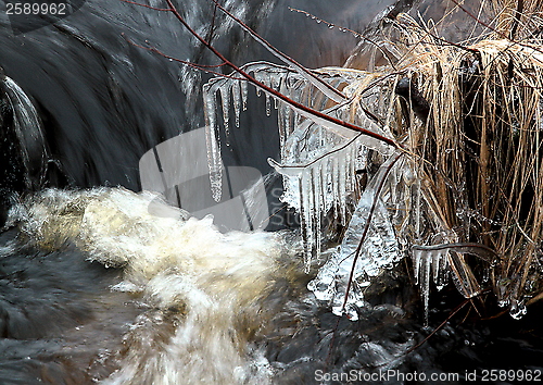 Image of Winter ice