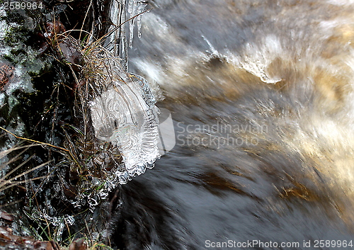 Image of Winter ice