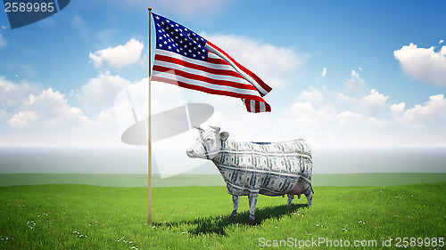 Image of Cash Cow