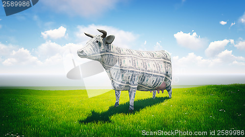 Image of Cash Cow