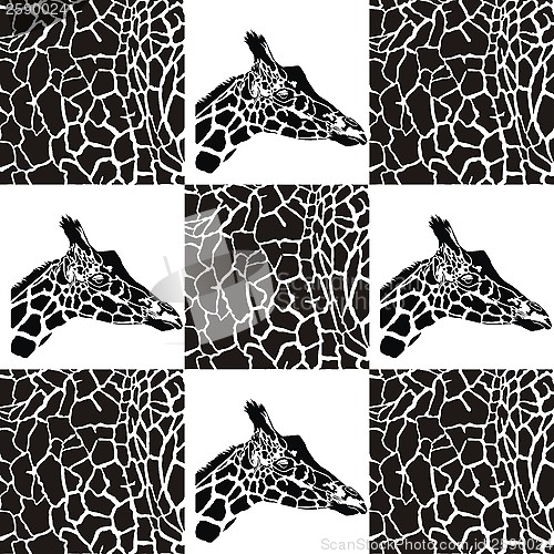 Image of Giraffe patterns for textiles and wallpaper