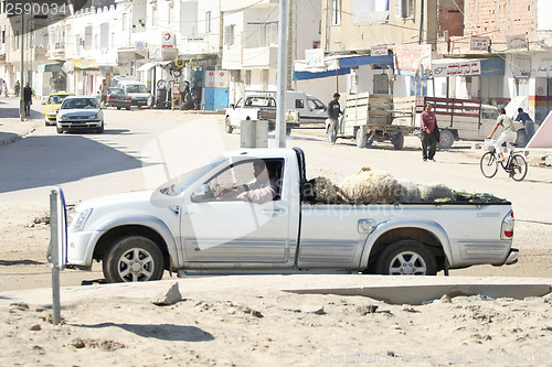 Image of Sheep in a pick up truck