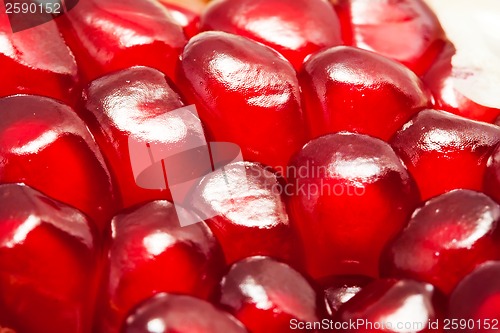 Image of Pomegranate