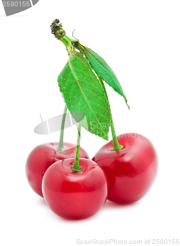 Image of Red cherry