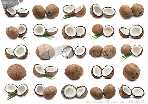 Image of Coconuts