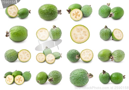 Image of Feijoa