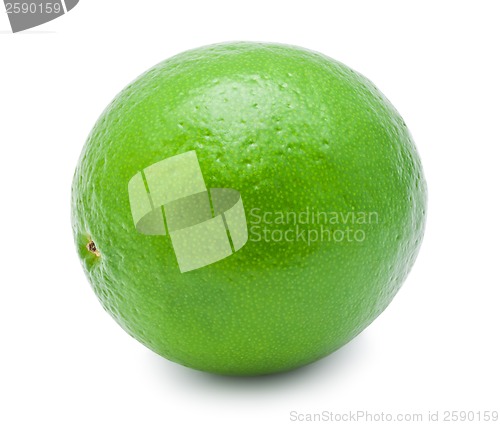 Image of Lime