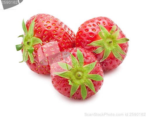Image of Strawberry