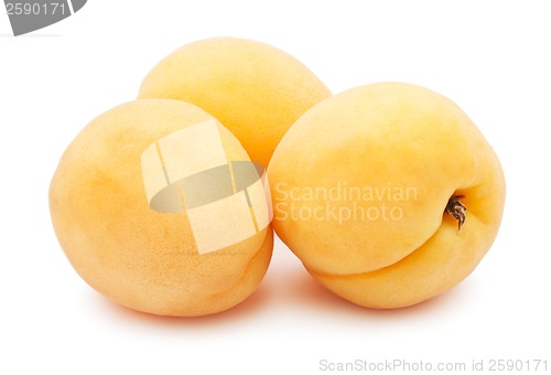 Image of Apricots