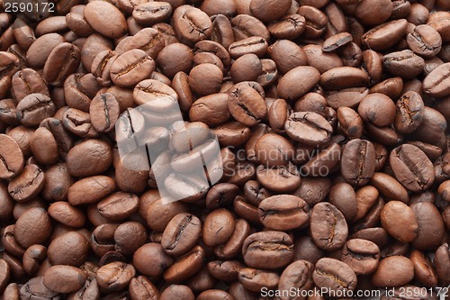 Image of Coffee beans