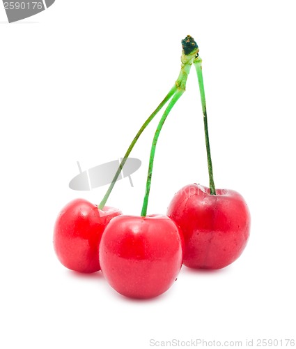 Image of Red cherry