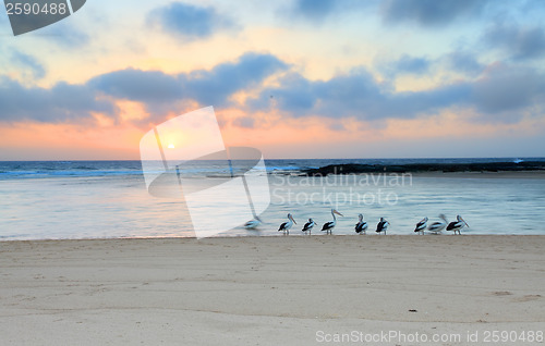 Image of Sunrise at The Entrance North,  Australia