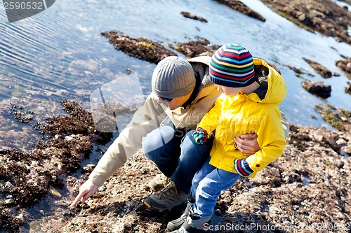 Image of family at tide pools