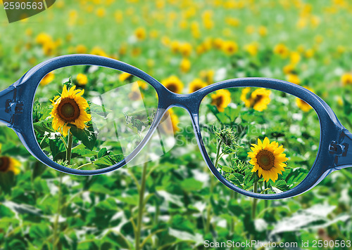 Image of View from reading eyeglasses on beautiful nature view