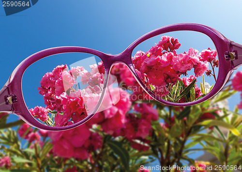 Image of View from reading eyeglasses on beautiful nature view