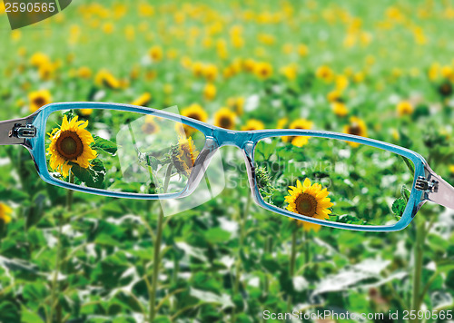 Image of View from reading eyeglasses on beautiful nature view