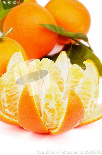 Image of Tangerine with Segments