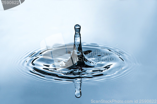 Image of Drop in water