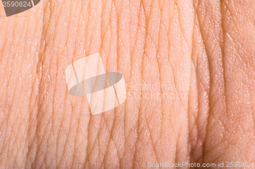 Image of Close up human skin. Macro epidermis 
