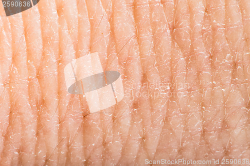 Image of Close up human skin. Macro epidermis 