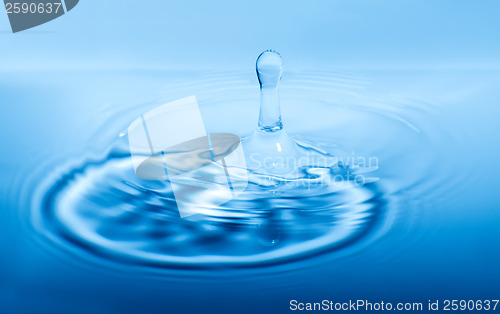 Image of Drop in water