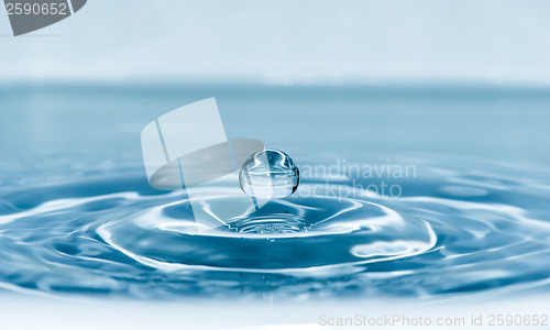 Image of Drop in water