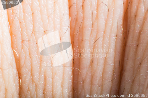 Image of Close up human skin. Macro epidermis 