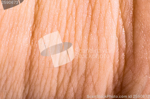 Image of Close up human skin. Macro epidermis 