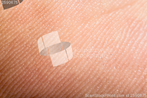 Image of Close up human skin. Macro epidermis 