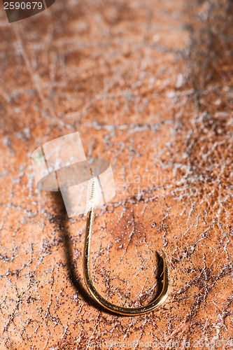 Image of Hooks for fishing