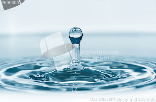 Image of Drop in water